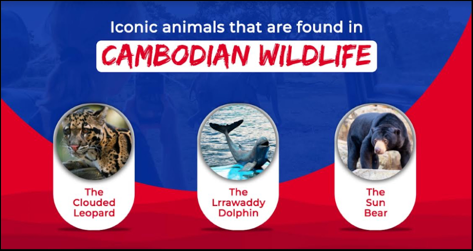 Iconic Animals That are Found in Cambodian Wildlife